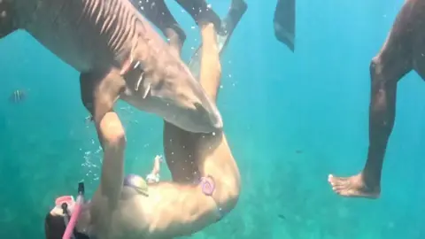 Tayane Dalazen A still from a video shows a shark biting a female diver's leg