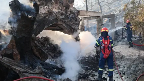 Reuters Firefighters work on a wildfire which prompted evacuations on the island of Salamina