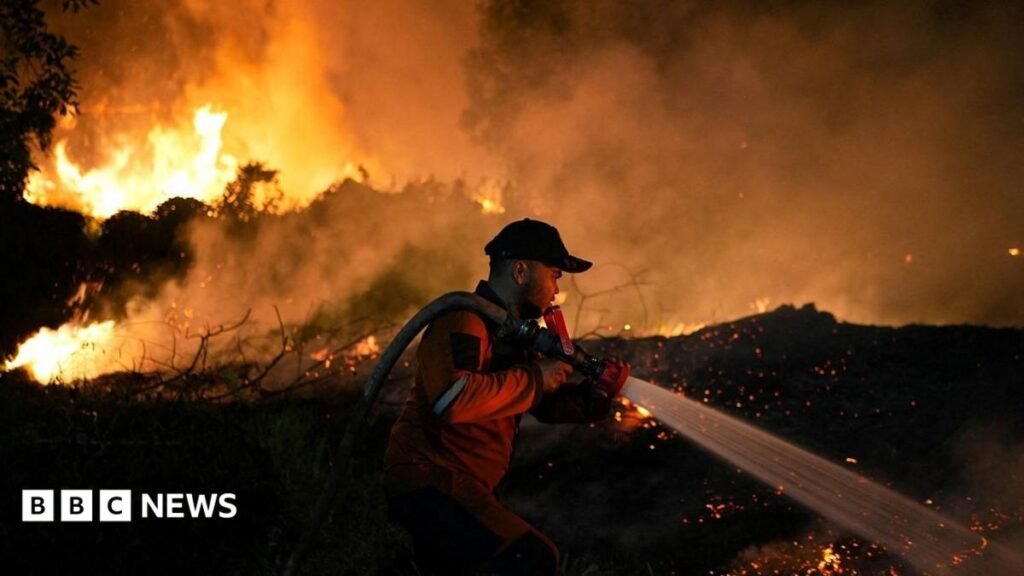 LIVEToxic haze from Indonesia spreads to Malaysia and Philippines as wildfires rageMillions in South East Asia are affected by toxic haze as wildfires burn in Indonesia's Sumatra and Kalimantan.