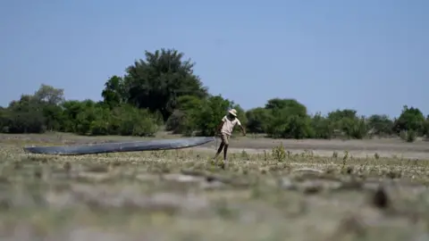 Monirul Bhuiyan/AFP via Getty Images A poller - a man in brown shorts, t-shirt and a sunhat - drags a traditional boat across a dried channel. The ground is dried vegetation and in the background green trees and a blue sky