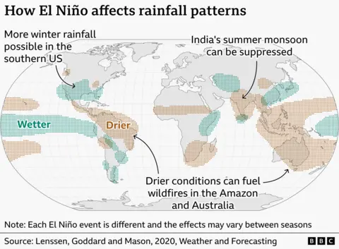 Map of typical effects of El Niño episodes on precipitation patterns for each region. Key trends are drying in many equatorial regions (northern South America, central Africa, South East Asia and Australia), marked in brown. Southern United States generally becomes wetter than normal, marked in green.