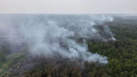Ahmad Dhani for BBC An aerial shot of bushland with large plumes of smoke rising into the air