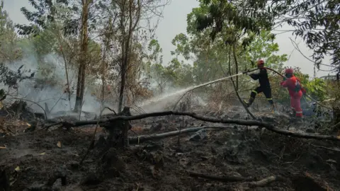 Ahmad Dhani for BBC Two firefighters hold a hose, one behind the other, and spray water onto a blackened patch of land. Smoke rises in the background.