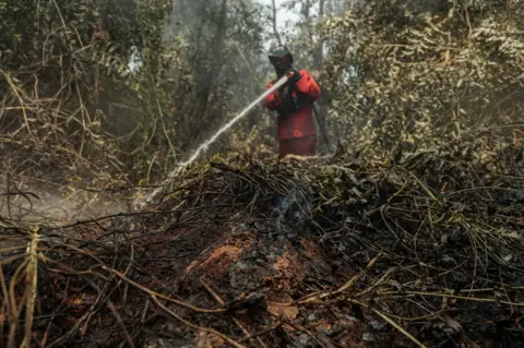 Ahmad Dhani for BBC A man in the background wearing red firefighting uniform and a hat sprays water onto the underbrush in the foreground, where burnt vegetation smoulders