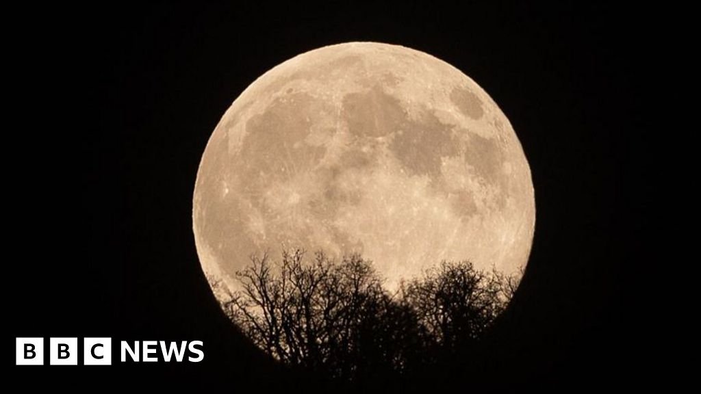 Five night sky events to look out for this autumnFrom meteor showers to a November supermoon, there are a number of impressive sights to behold in the autumn night sky. 11 hrs agoScience & Environment Five night sky events to look out for this autumnFrom meteor showers to a November supermoon, there are a number of impressive sights to behold in the autumn night sky. 11 hrs agoScience & Environment