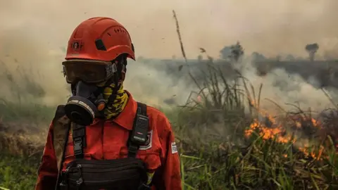 Getty Images A person in orange firefighting uniform, helmet and gas mask stands amid smoke in front of flaming grass